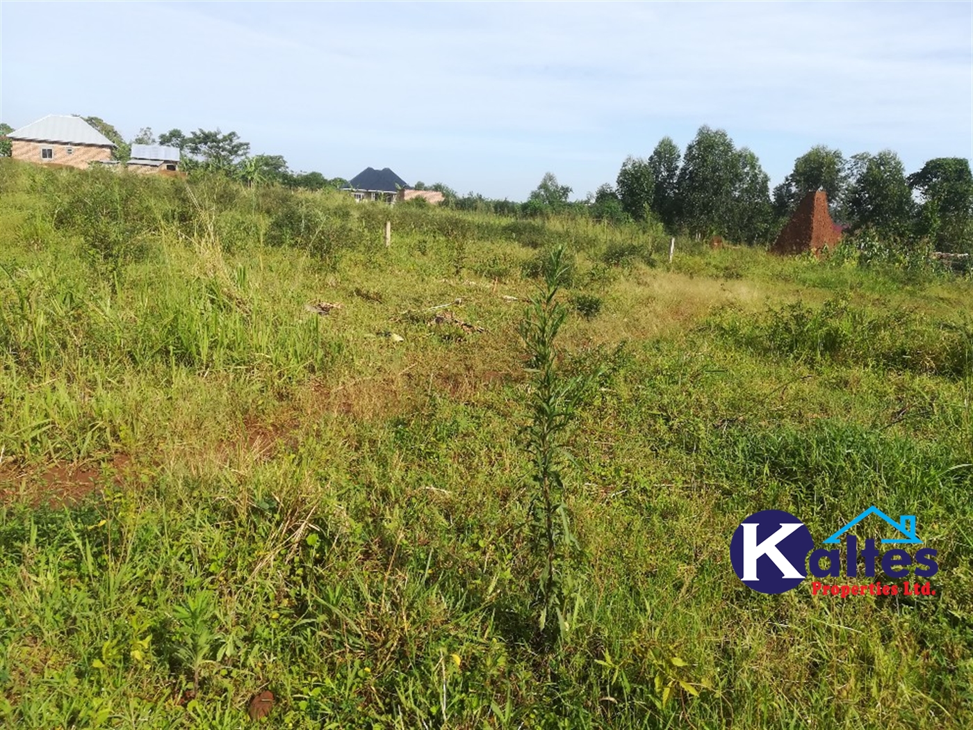 Residential Land for sale in Nakisunga Mukono