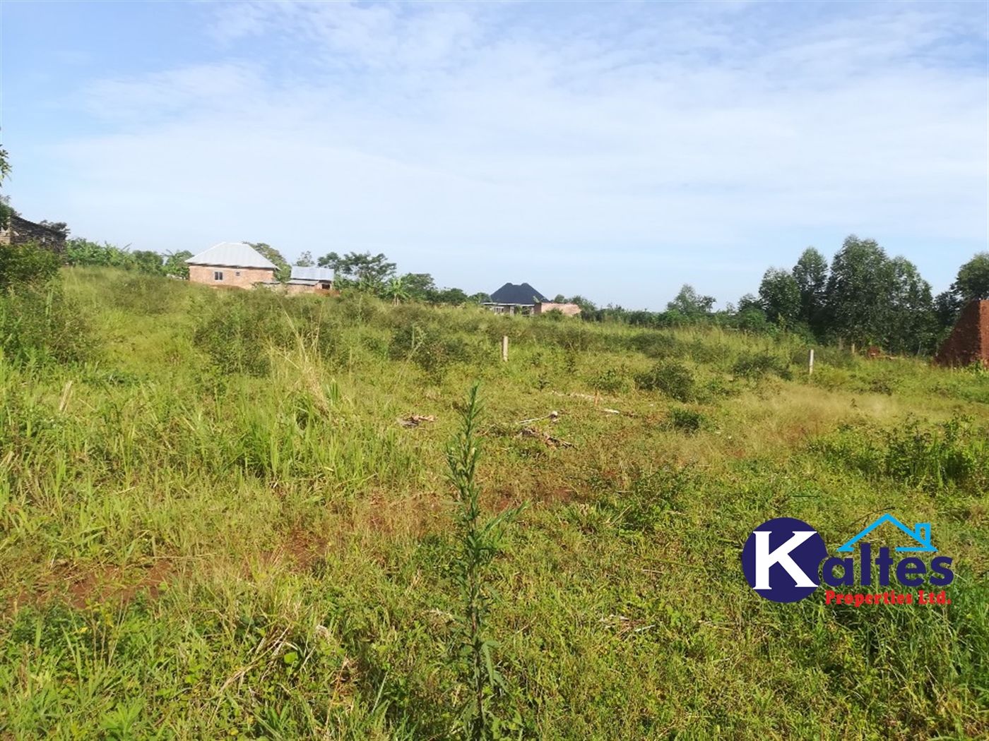 Residential Land for sale in Nakisunga Mukono