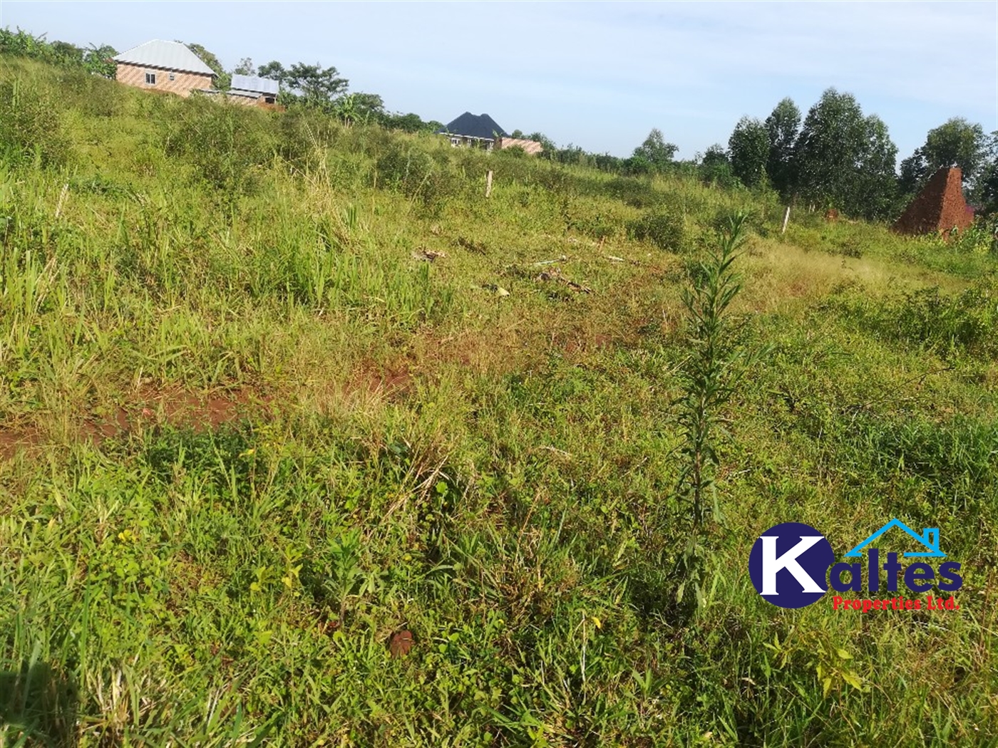 Residential Land for sale in Nakisunga Mukono