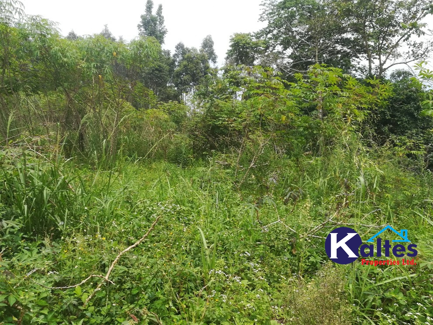 Residential Land for sale in Mpooma Mukono