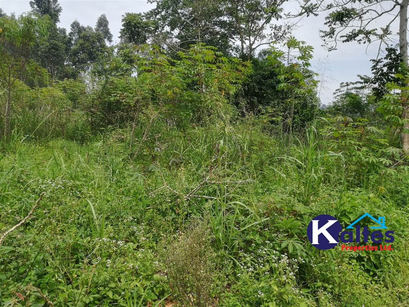 Residential Land for sale in Mpooma Mukono