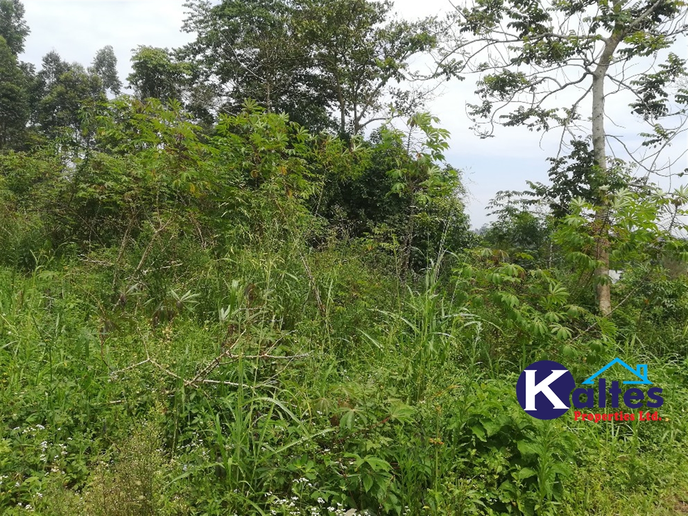 Residential Land for sale in Mpooma Mukono