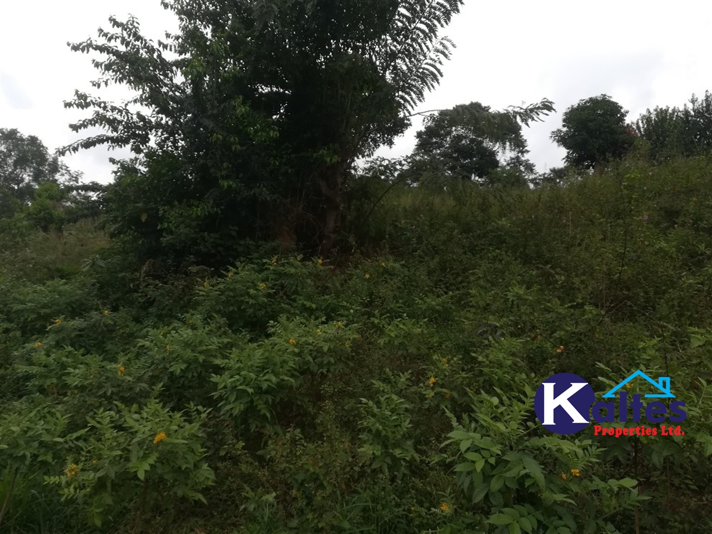 Agricultural Land for sale in Naluvule Buyikwe