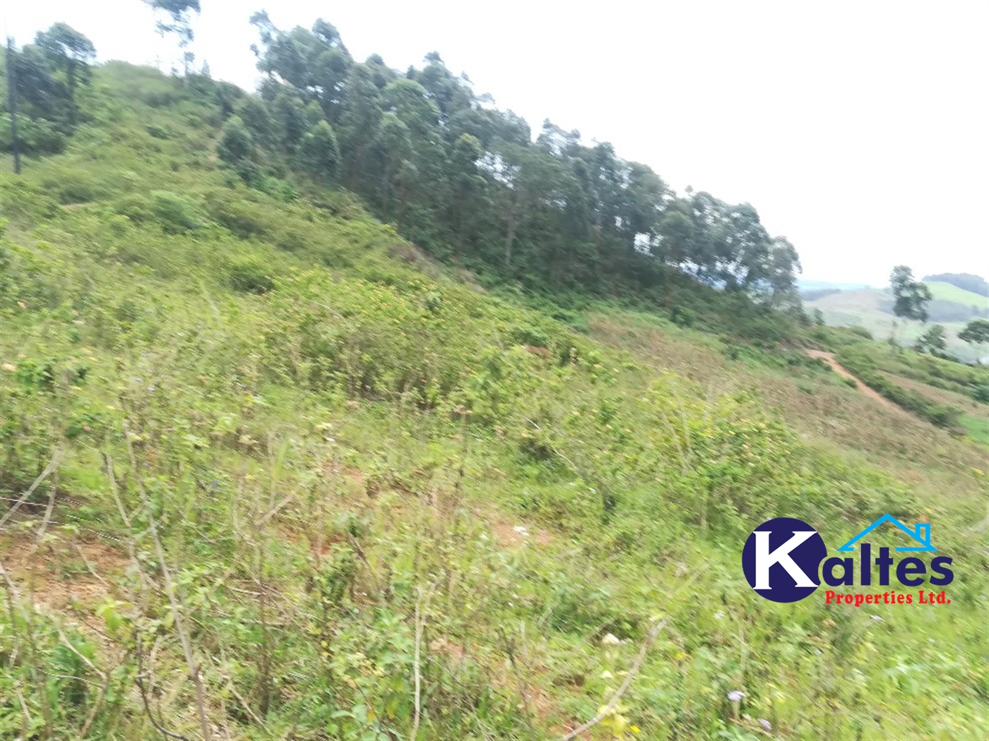 Agricultural Land for sale in Namwezi Buyikwe