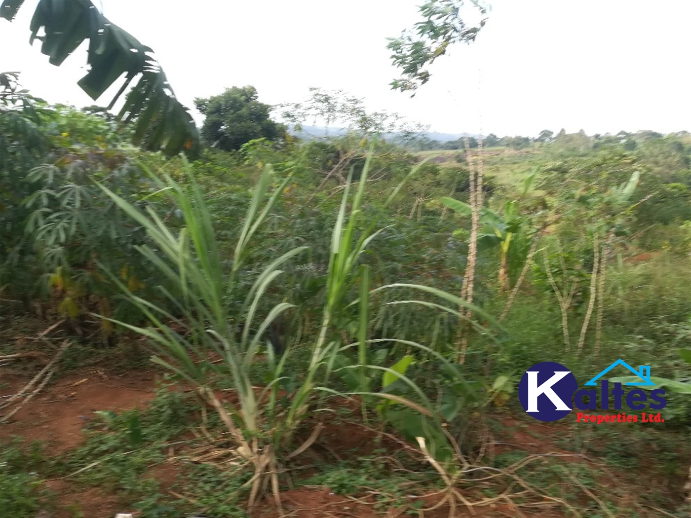 Agricultural Land for sale in Ggangu Buyikwe