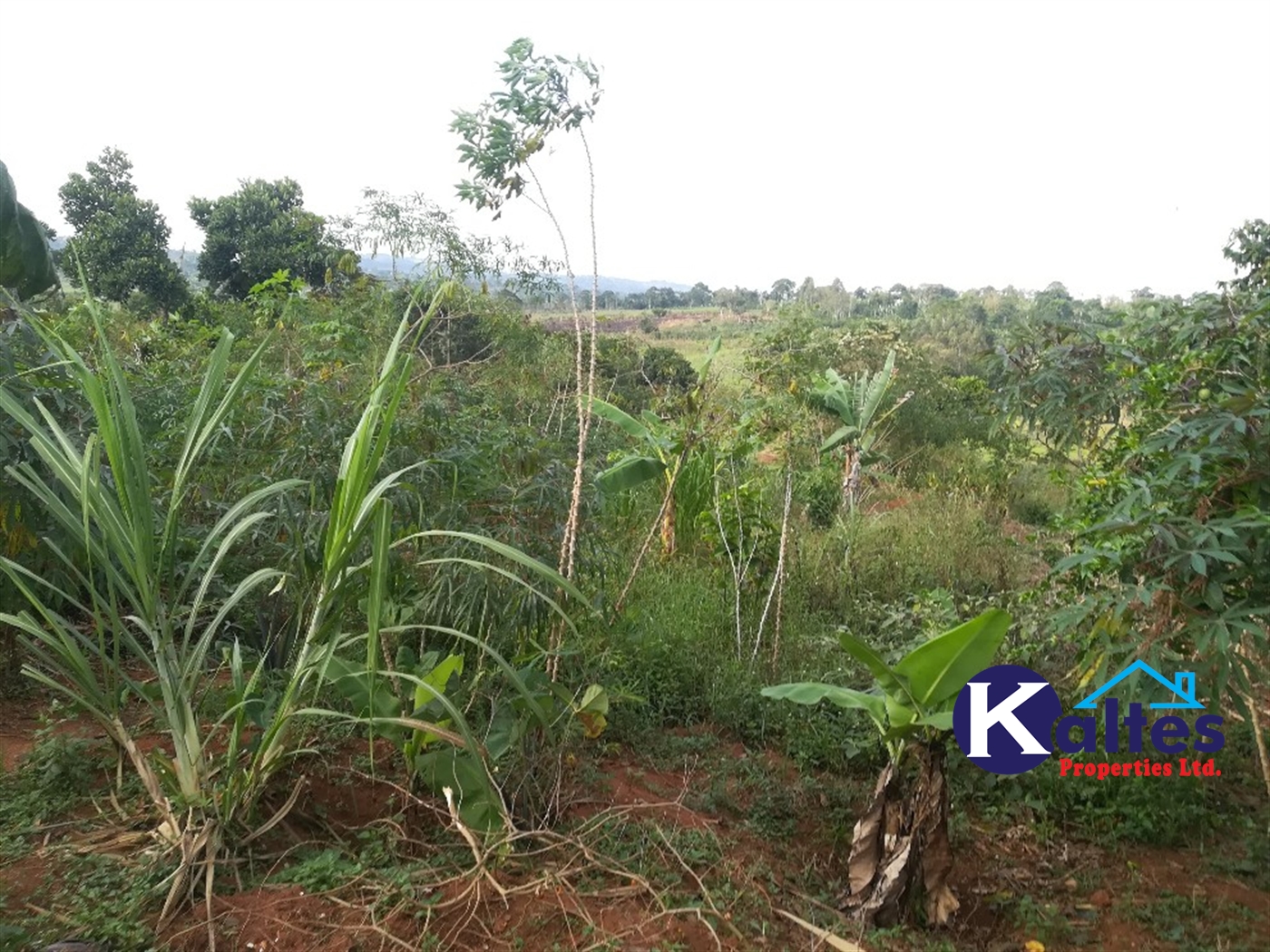 Agricultural Land for sale in Ggangu Buyikwe