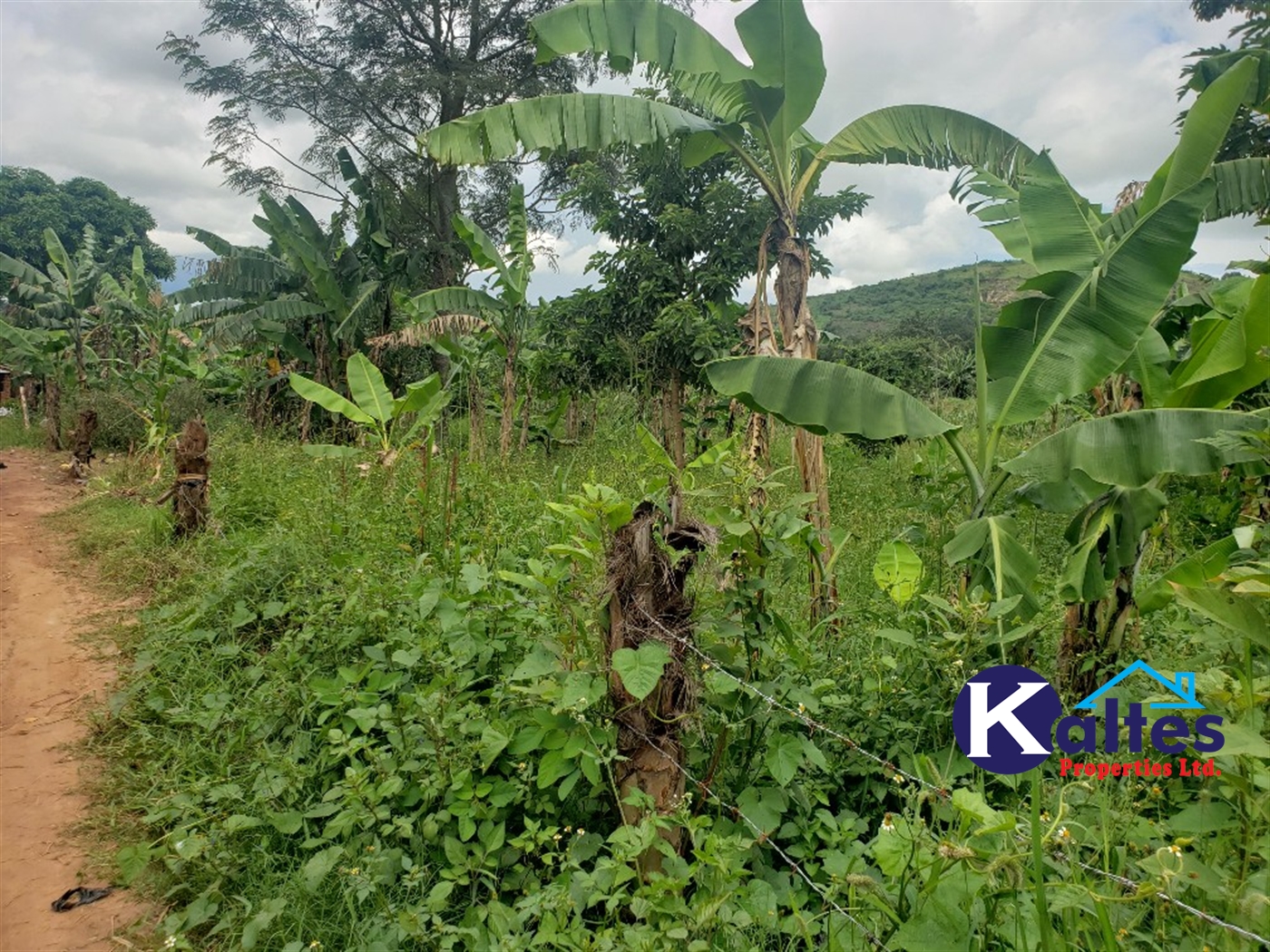 Residential Land for sale in Naggalama Mukono