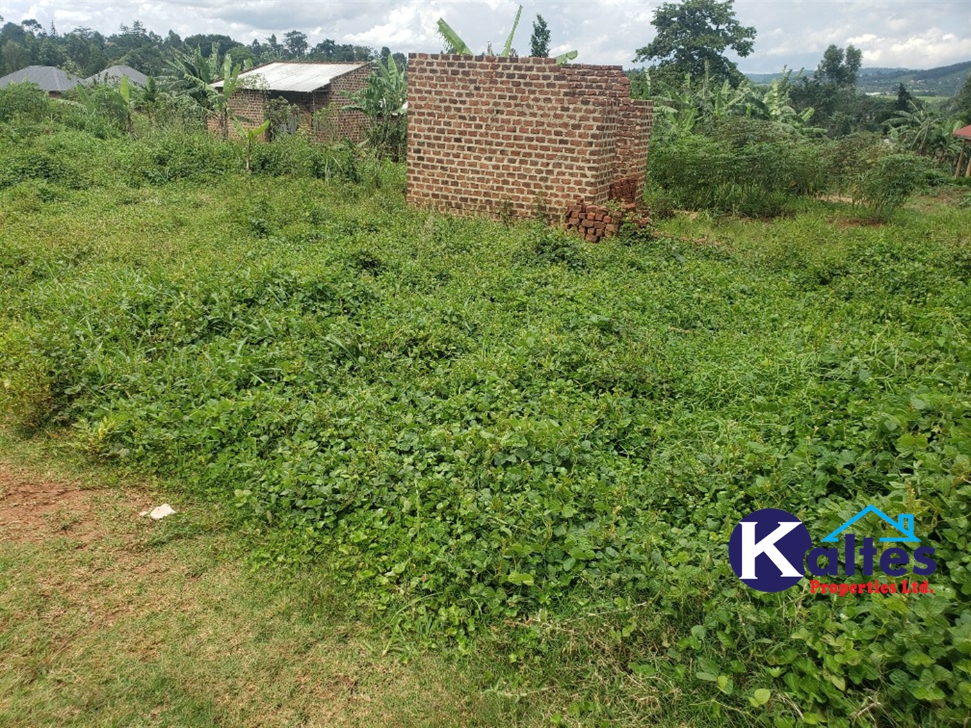 Residential Land for sale in Naggalama Mukono