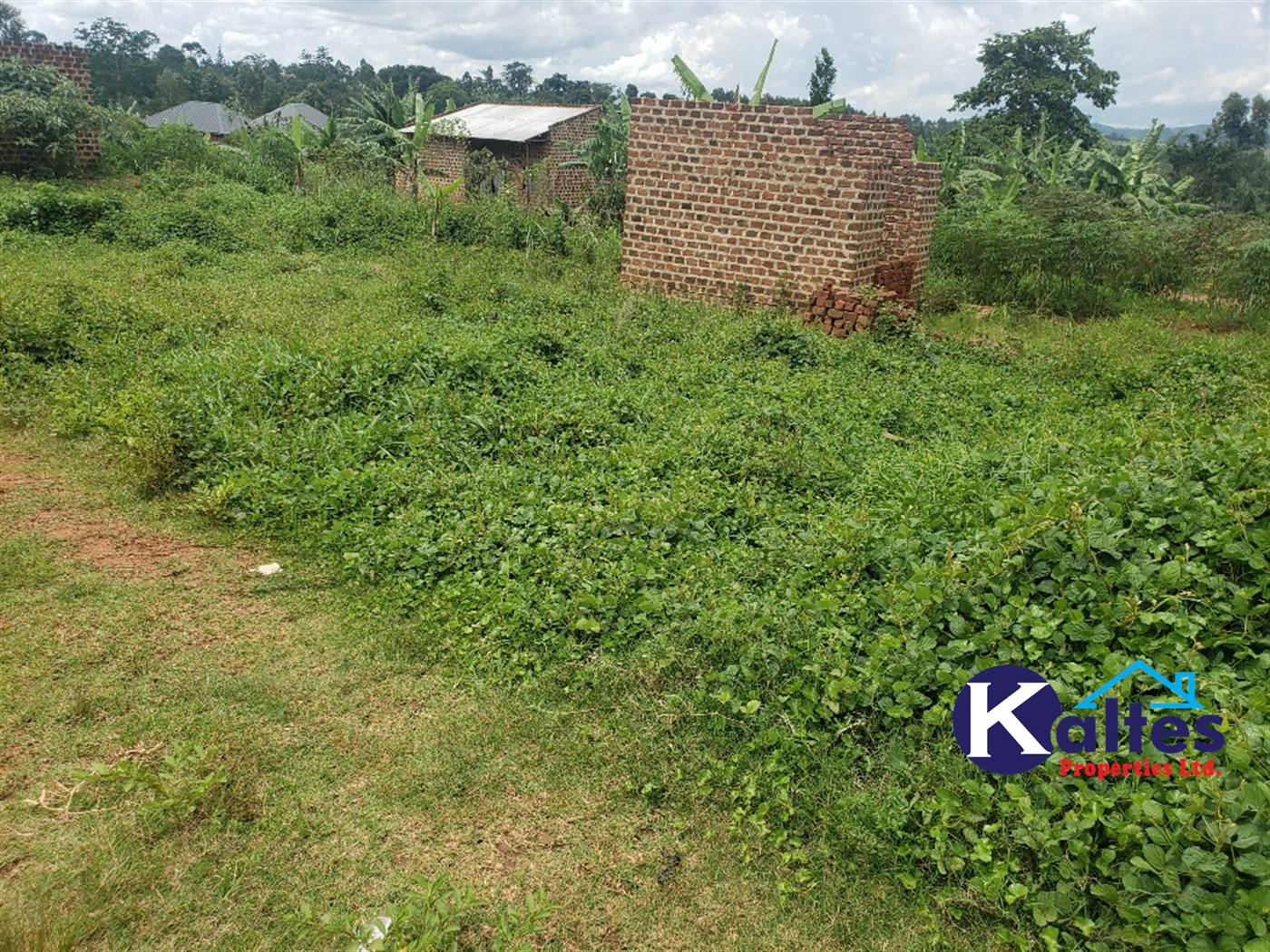 Residential Land for sale in Naggalama Mukono