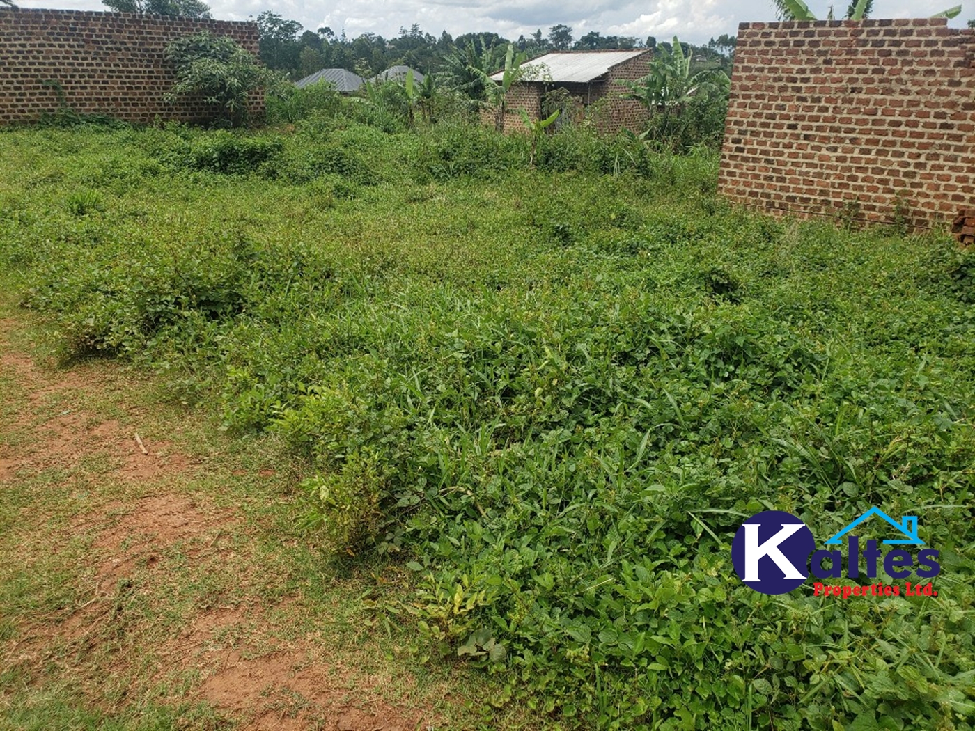 Residential Land for sale in Naggalama Mukono