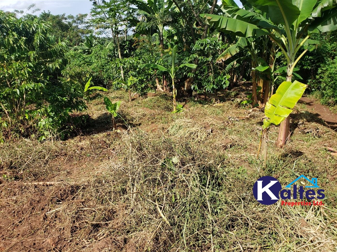 Agricultural Land for sale in Kigenda Buyikwe