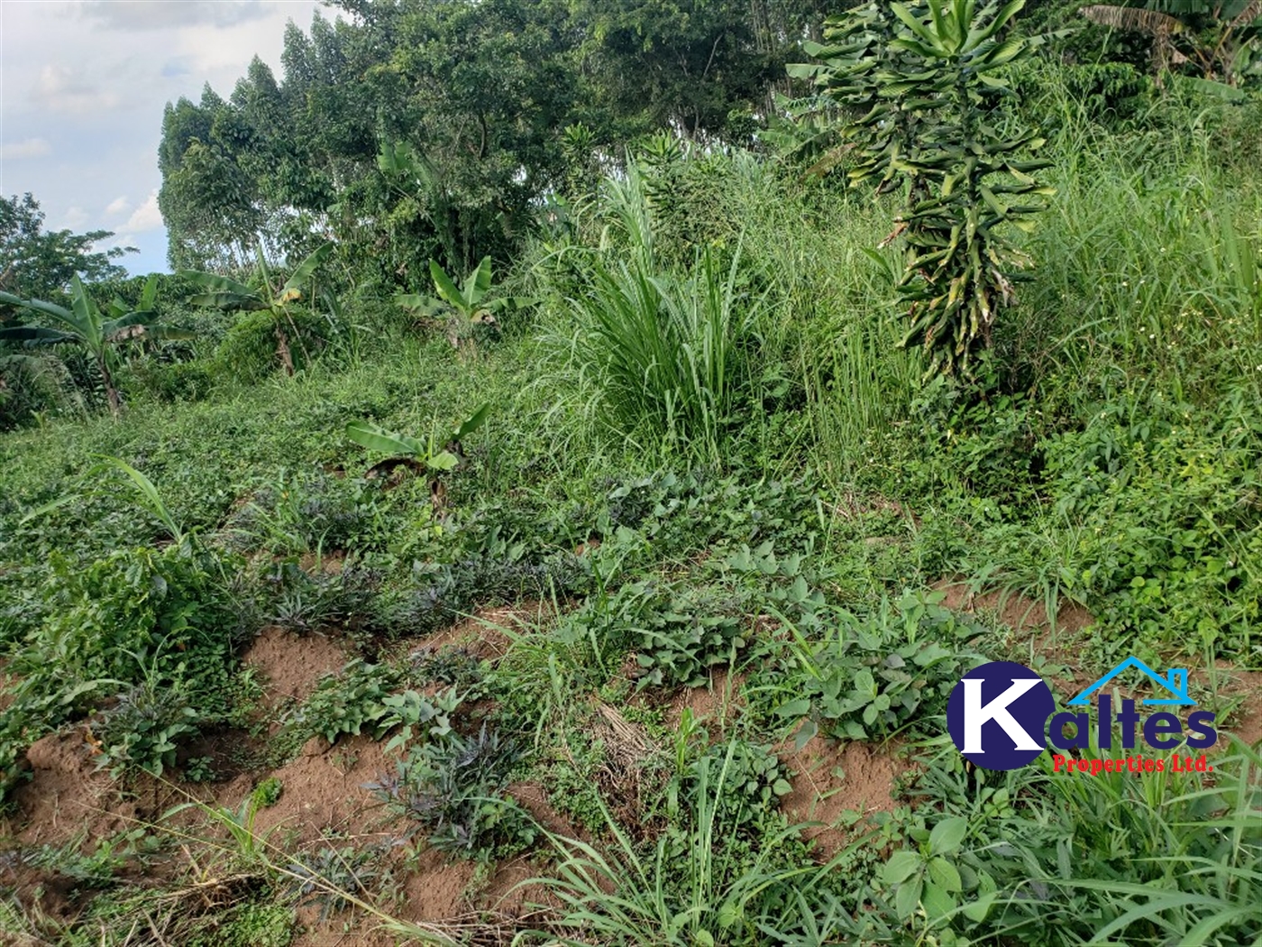 Agricultural Land for sale in Kikakanya Buyikwe