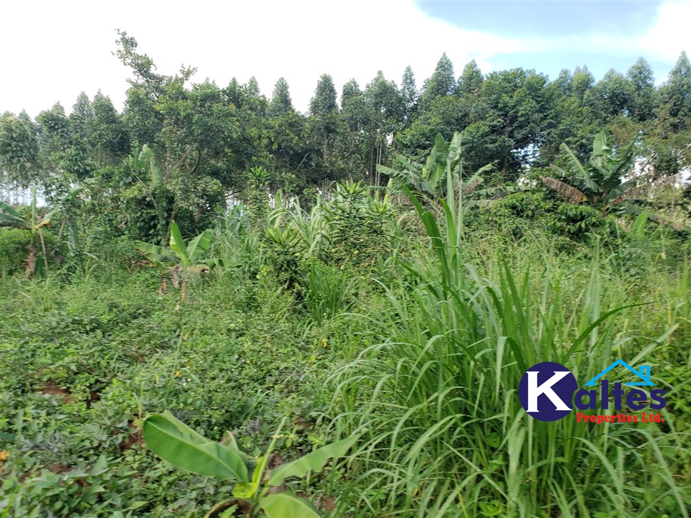 Agricultural Land for sale in Kikakanya Buyikwe