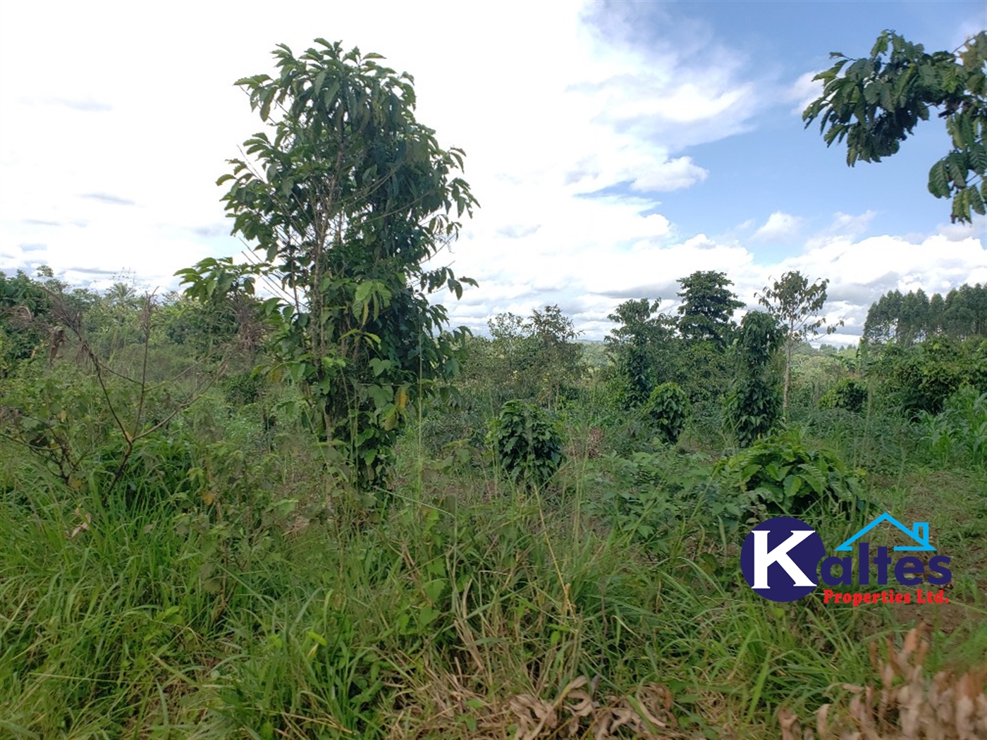 Agricultural Land for sale in Kikakanya Buyikwe