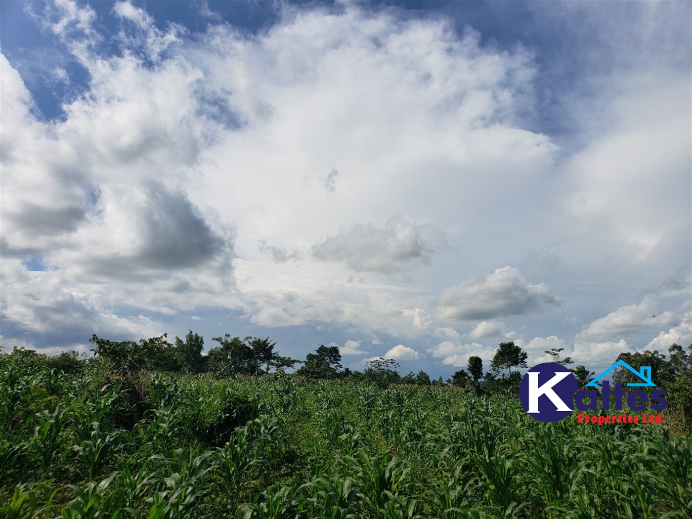 Agricultural Land for sale in Kinoni Buyikwe