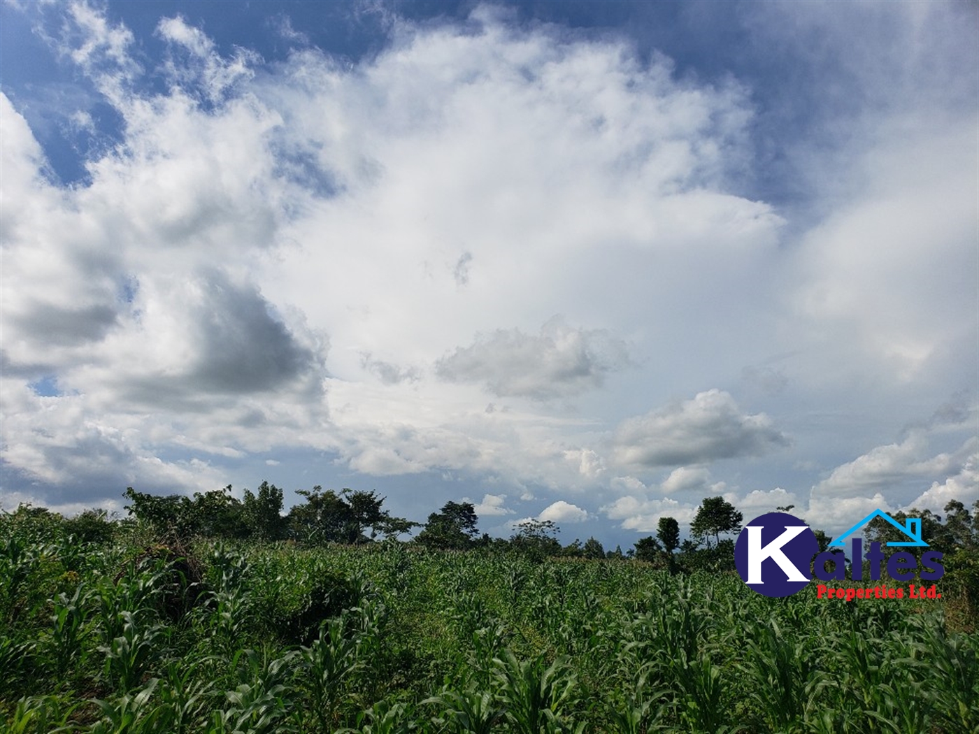 Agricultural Land for sale in Kinoni Buyikwe