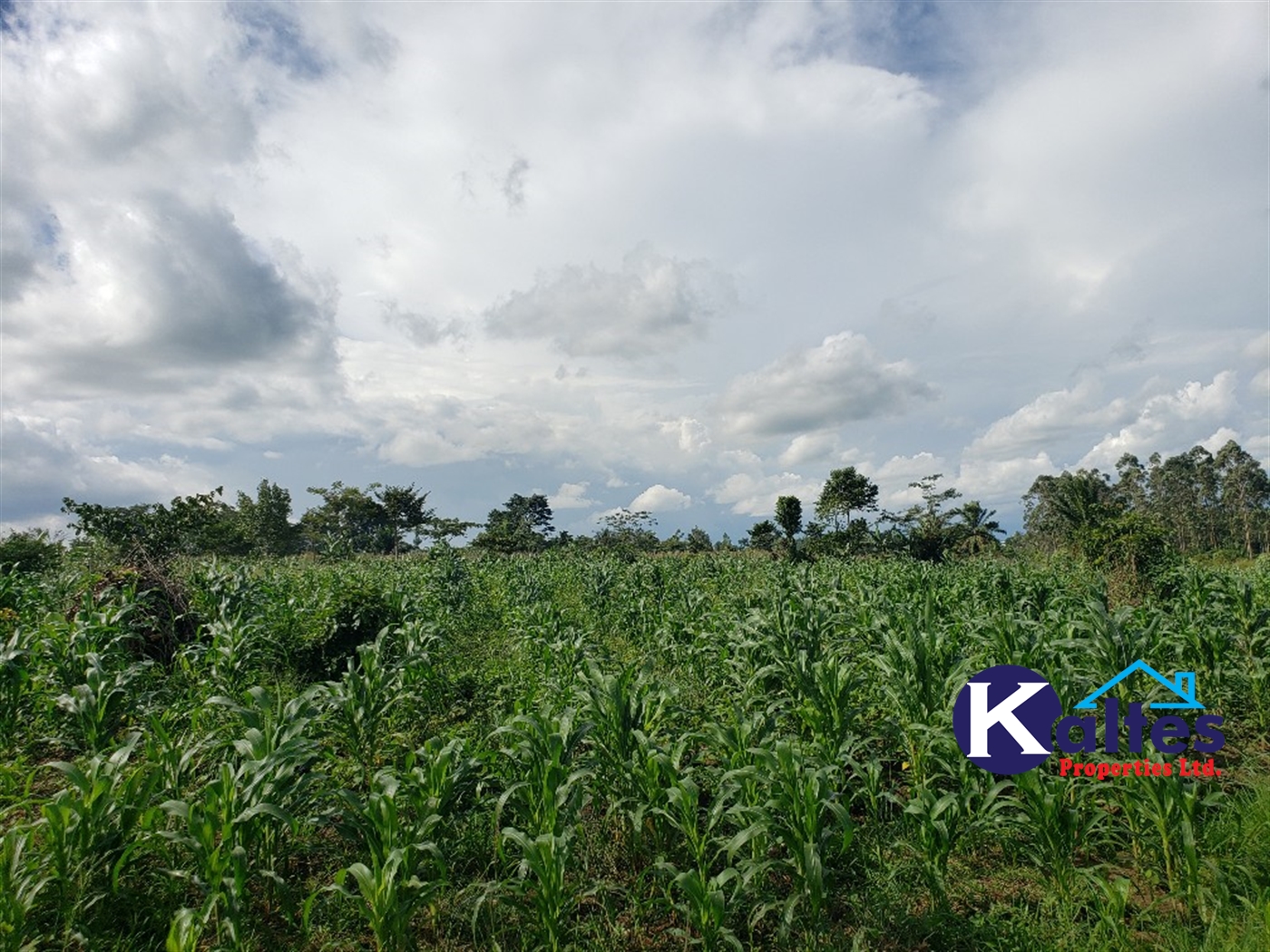 Agricultural Land for sale in Kinoni Buyikwe