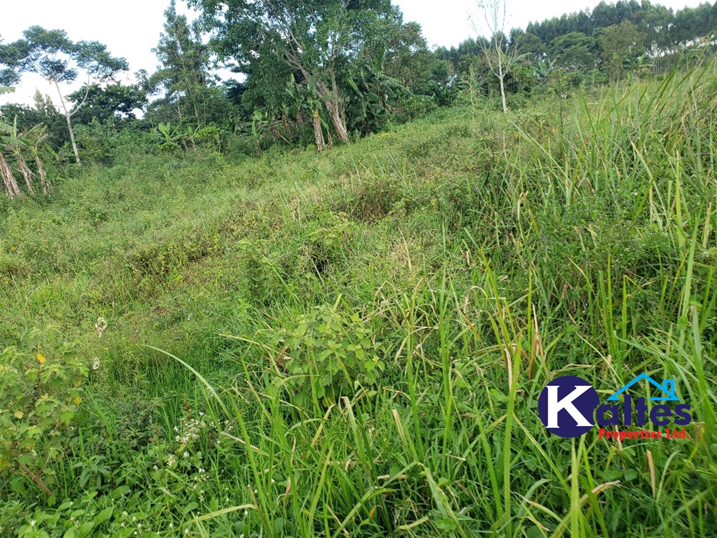 Agricultural Land for sale in Kinoni Buyikwe