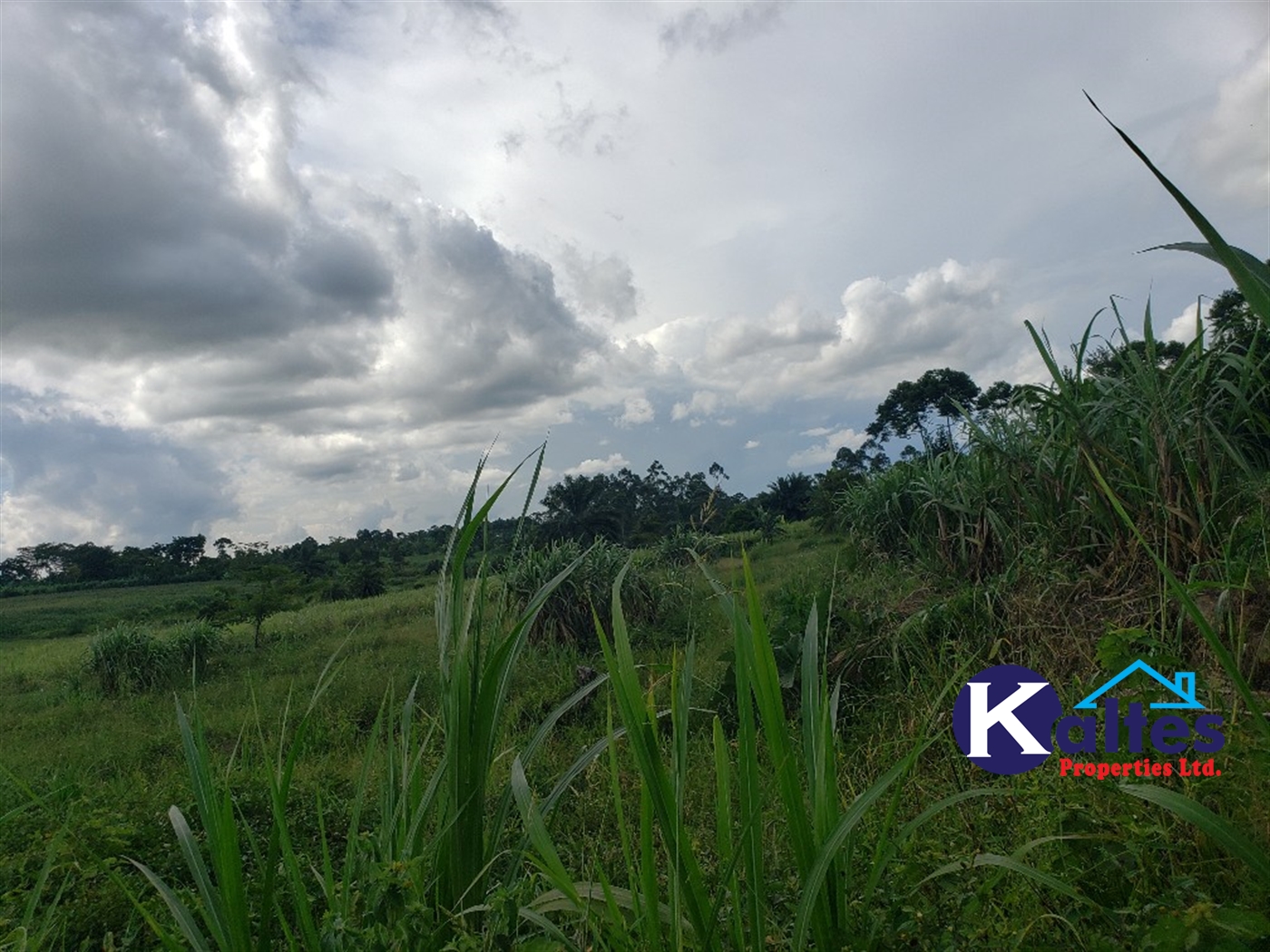 Agricultural Land for sale in Kinoni Buyikwe