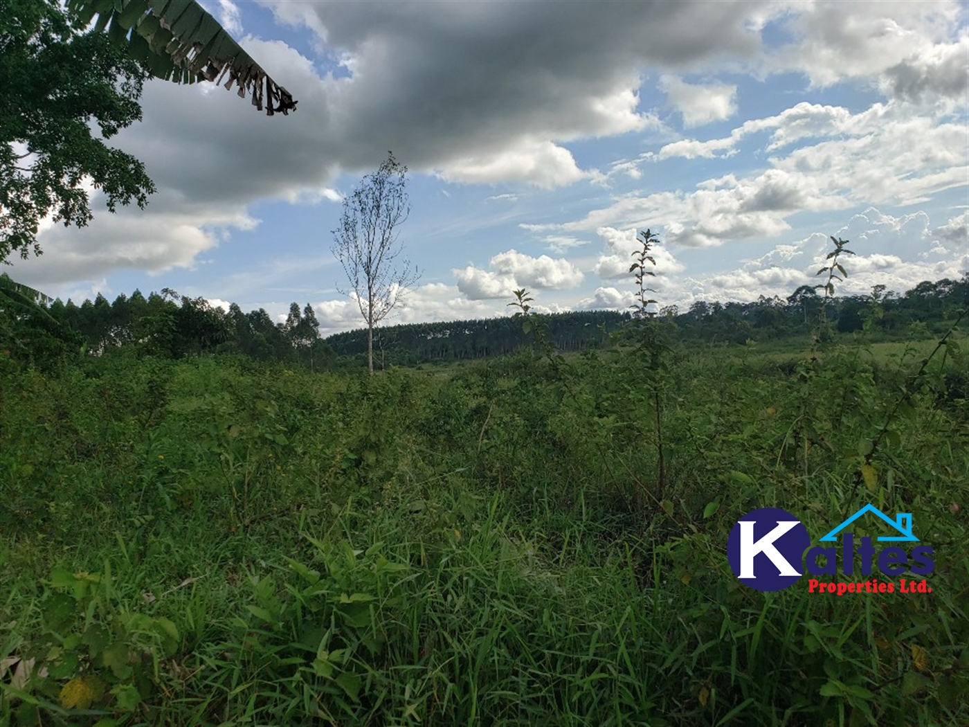 Agricultural Land for sale in Kinoni Buyikwe