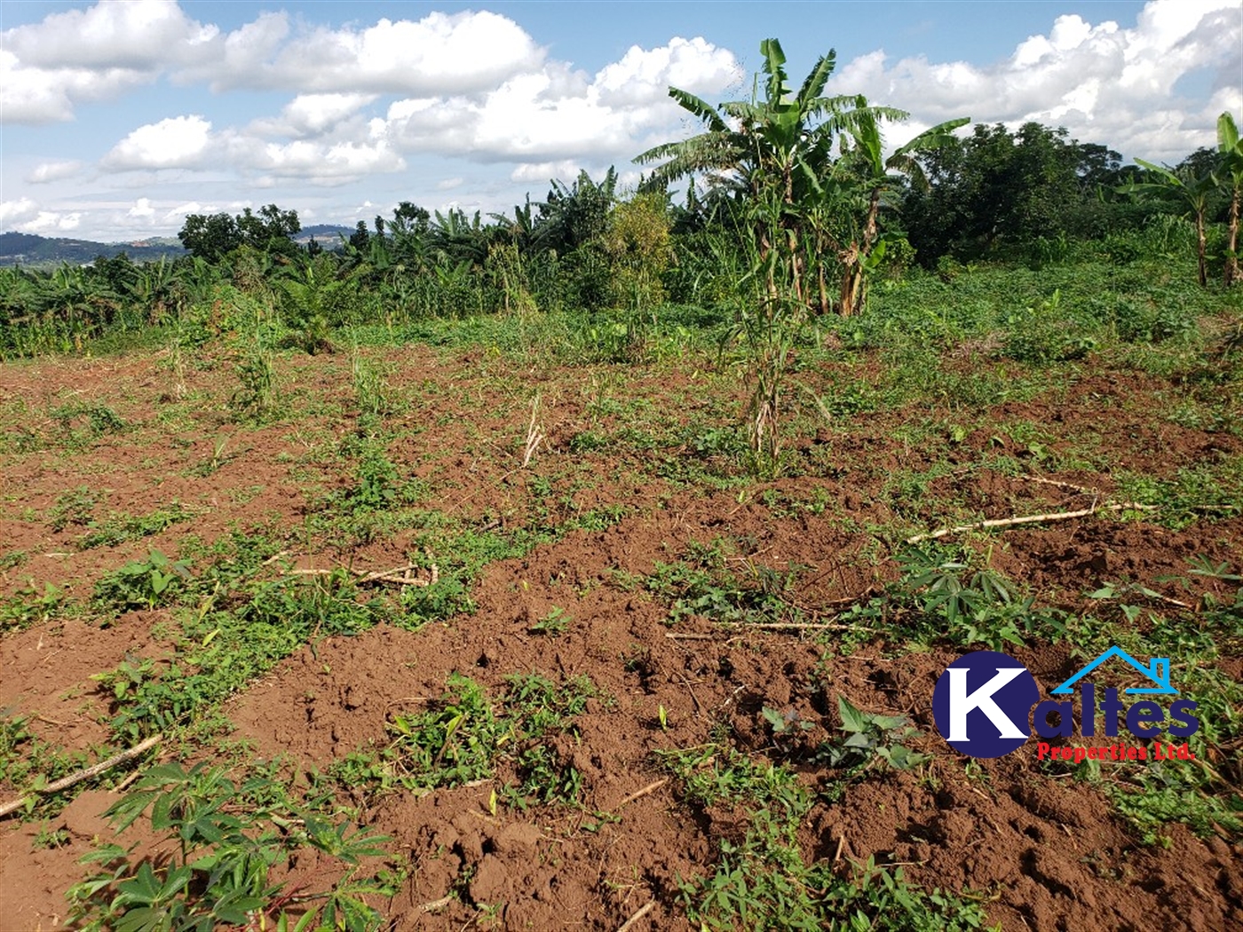 Agricultural Land for sale in Kiyunga Buyikwe