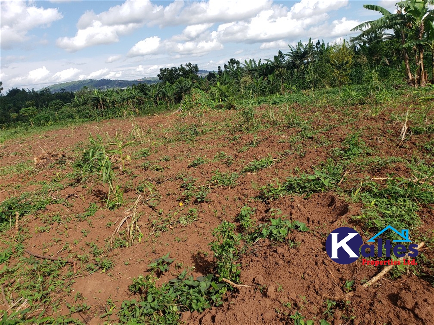 Agricultural Land for sale in Kiyunga Buyikwe