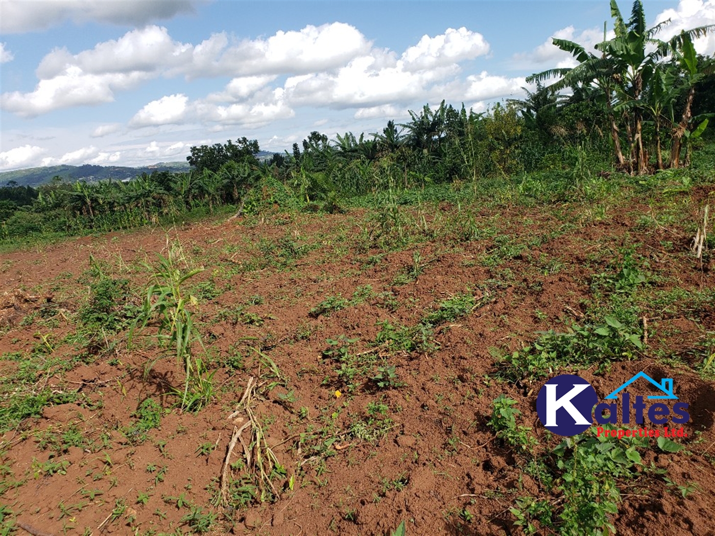 Agricultural Land for sale in Kiyunga Buyikwe