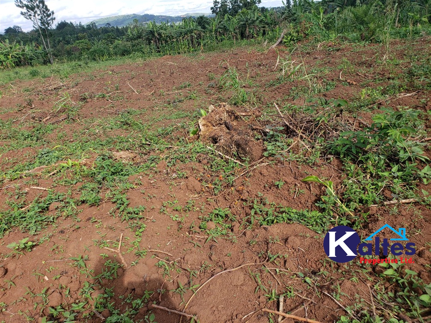 Agricultural Land for sale in Kiyunga Buyikwe