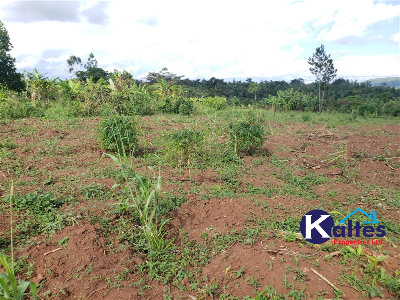 Agricultural Land for sale in Kiyunga Buyikwe