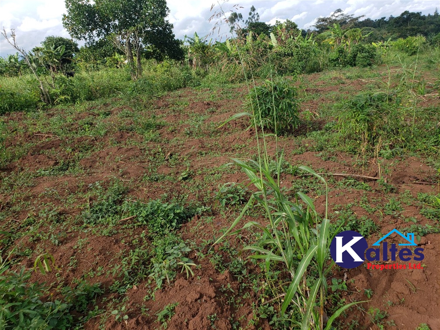 Agricultural Land for sale in Kiyunga Buyikwe