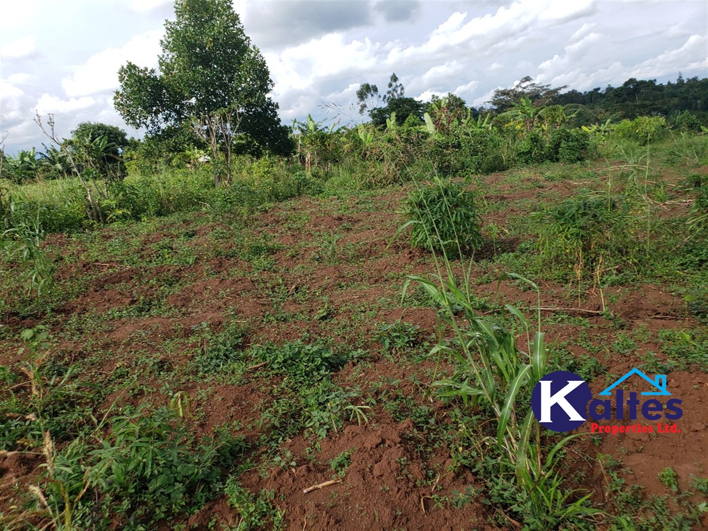 Agricultural Land for sale in Kiyunga Buyikwe