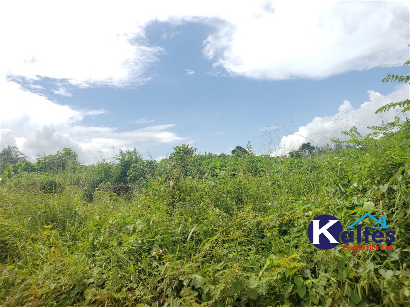 Agricultural Land for sale in Kabugoga Buyikwe