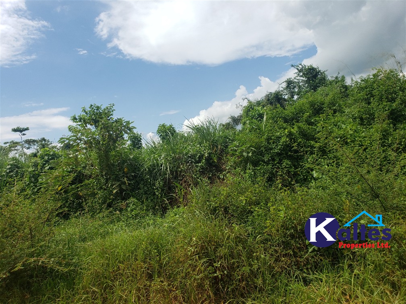 Agricultural Land for sale in Kabugoga Buyikwe