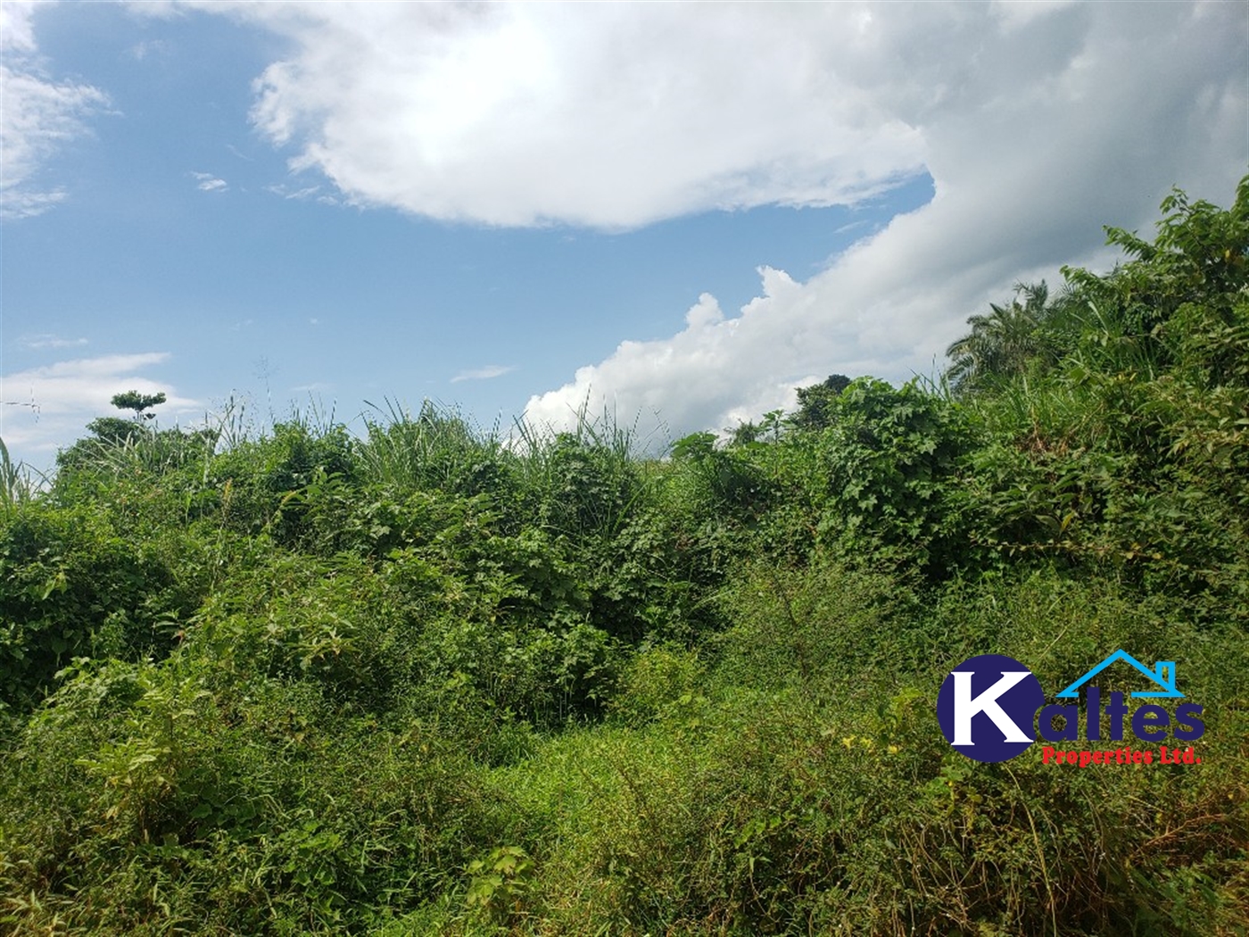 Agricultural Land for sale in Kabugoga Buyikwe