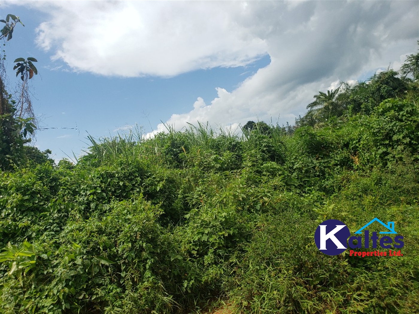 Agricultural Land for sale in Kabugoga Buyikwe