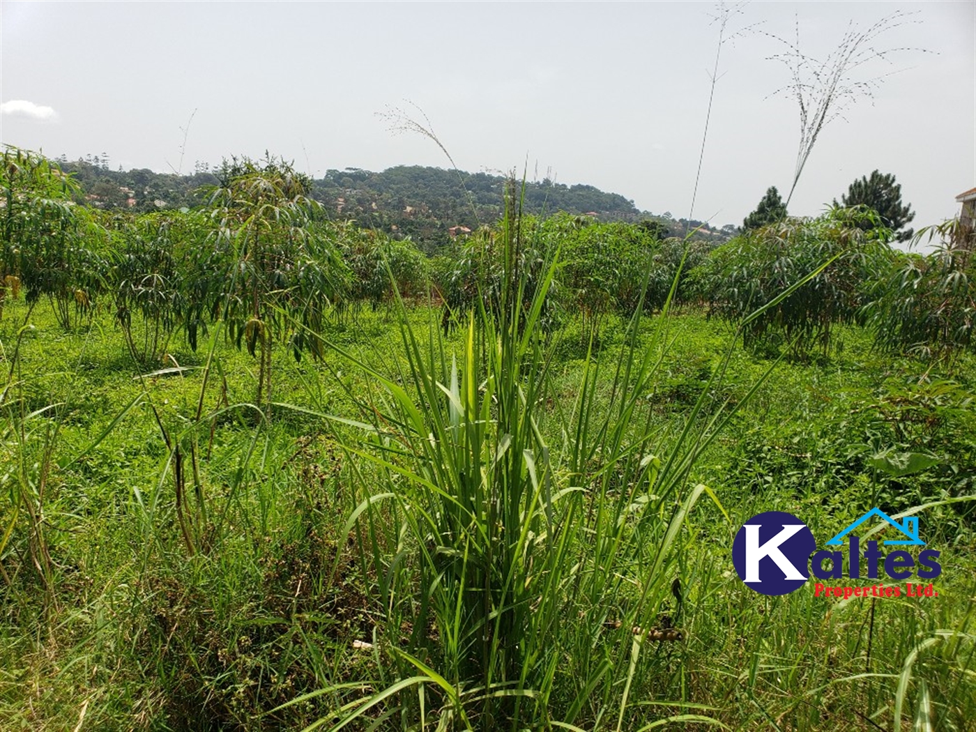 Residential Land for sale in Namirembe Mukono