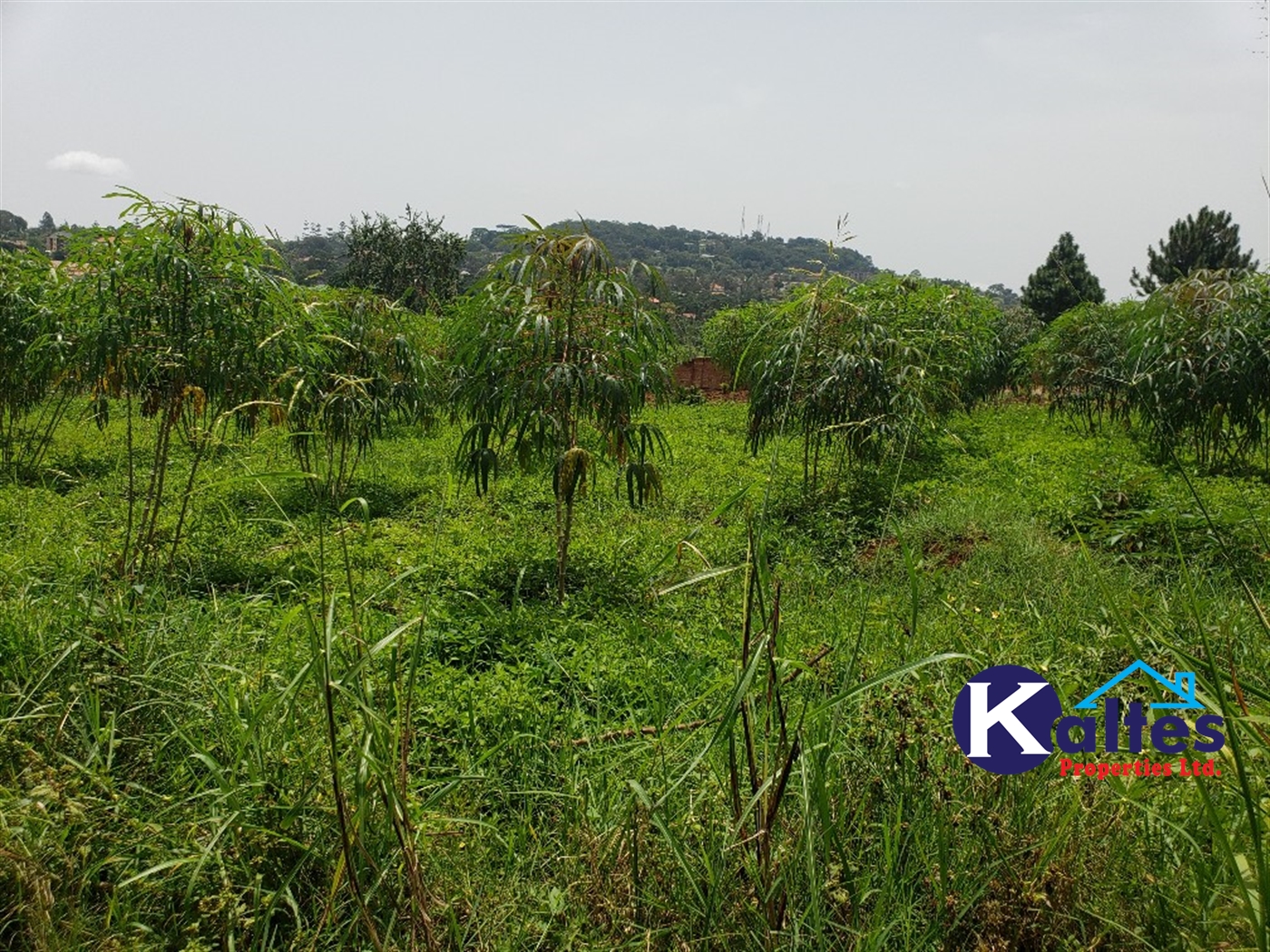 Residential Land for sale in Namirembe Mukono