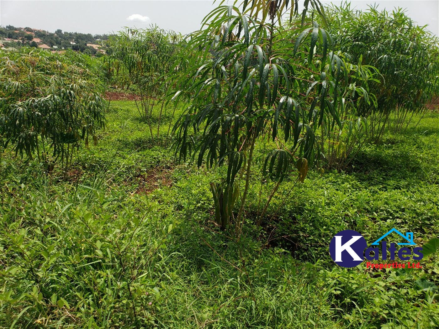 Residential Land for sale in Namirembe Mukono