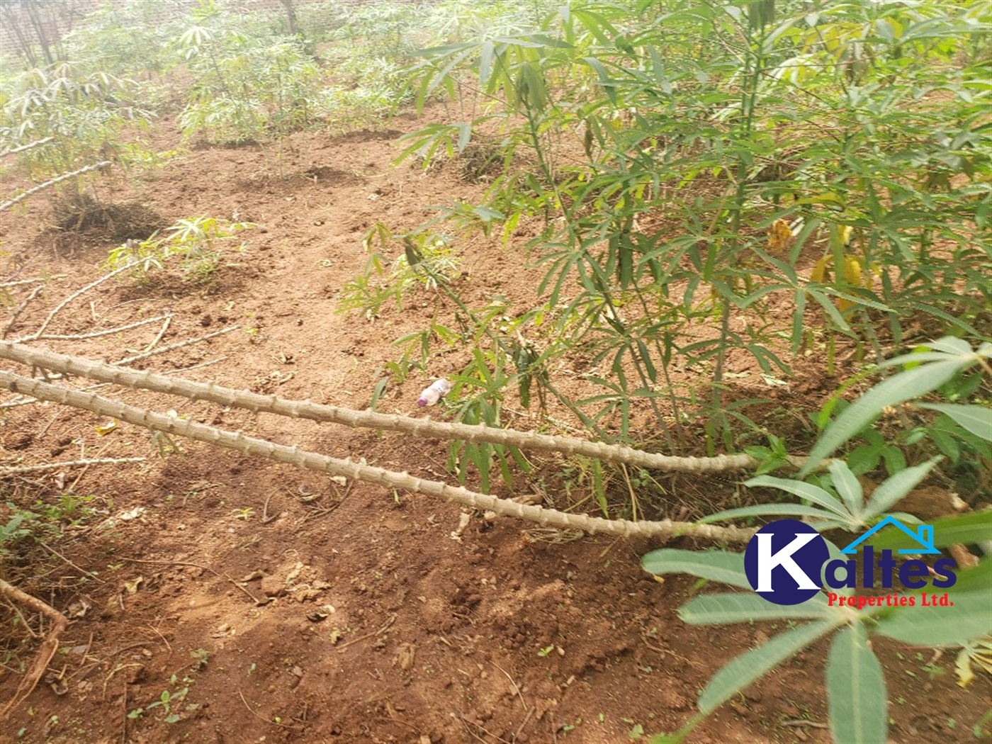 Residential Land for sale in Kwaaba Mukono