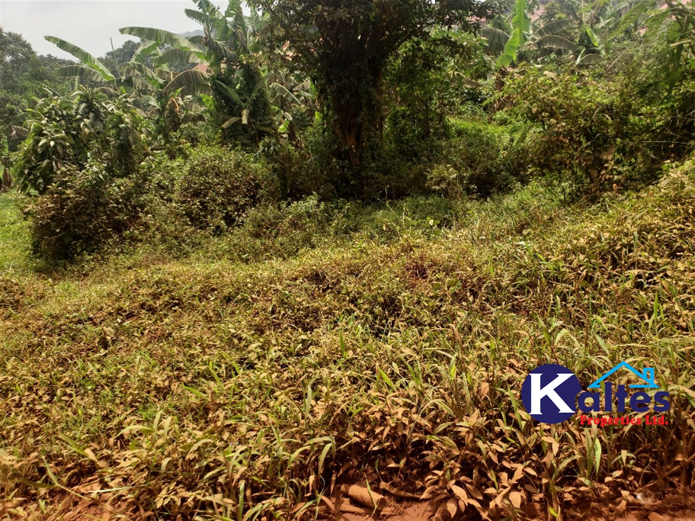 Residential Land for sale in Nakumbo Mukono