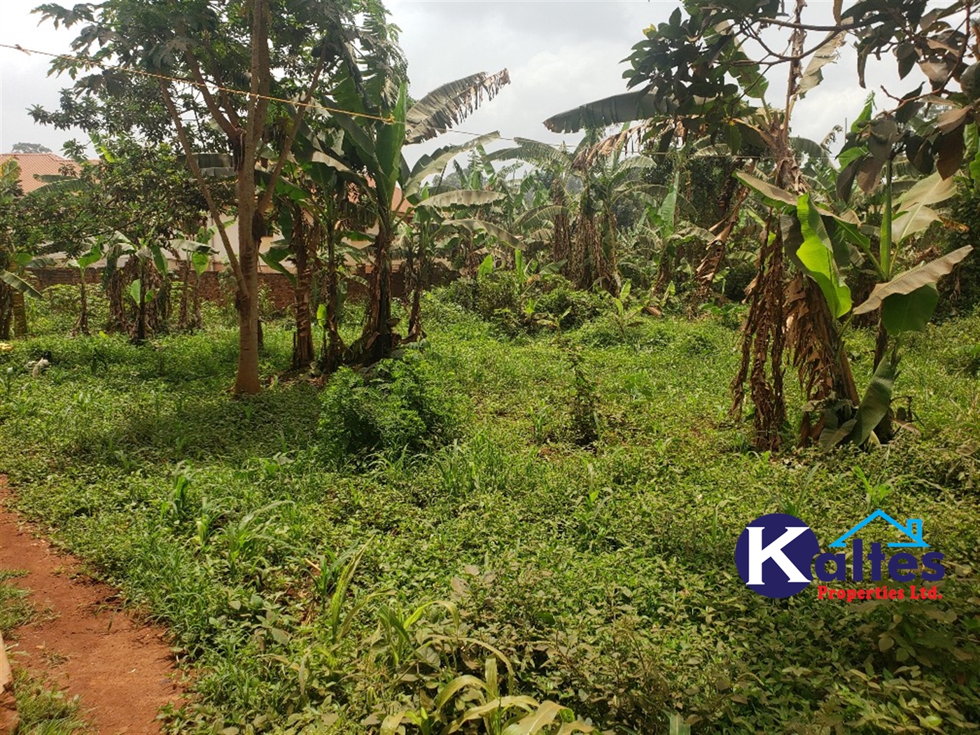 Residential Land for sale in Nakumbo Mukono