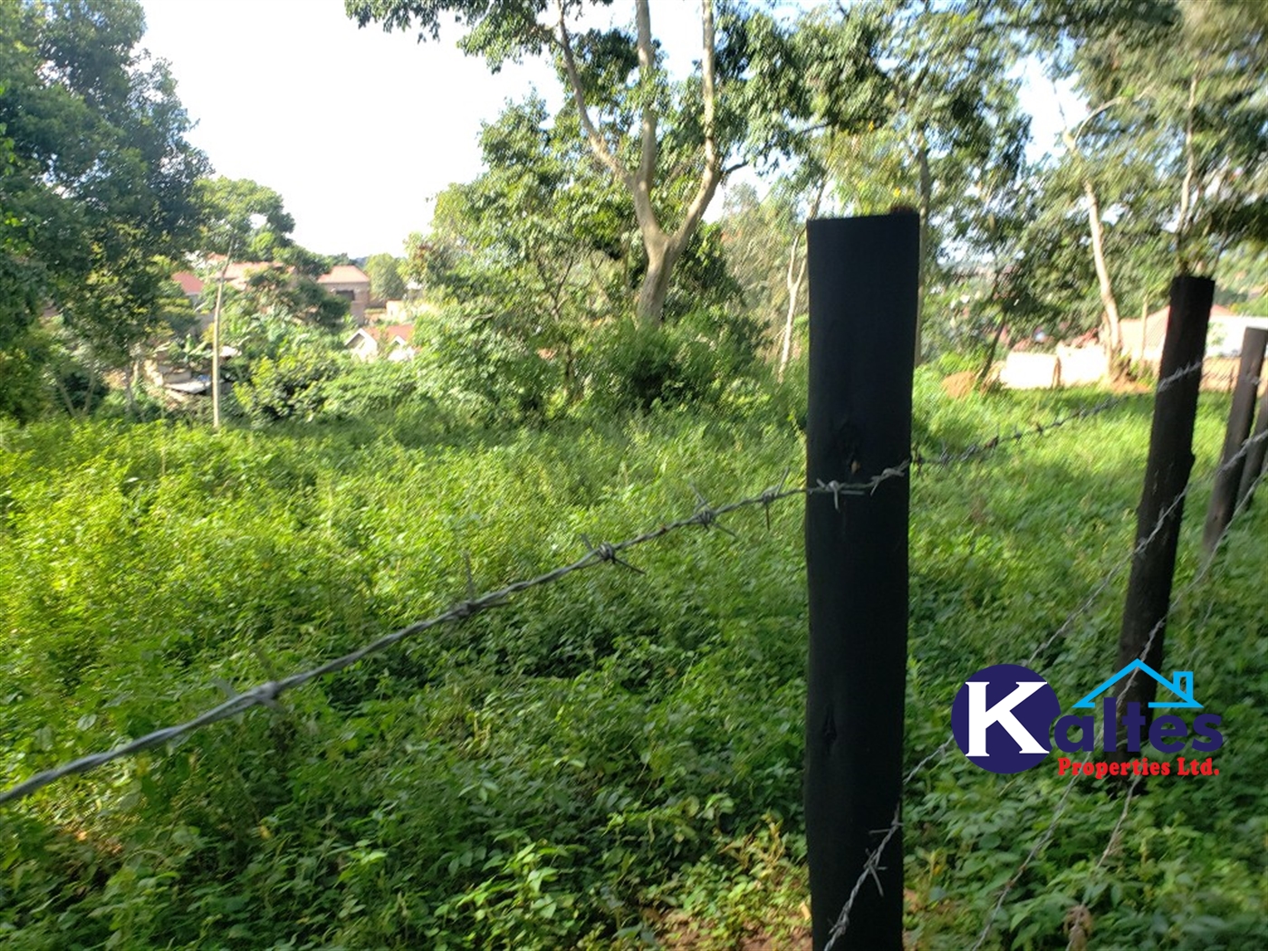 Residential Land for sale in Ntonto Mukono