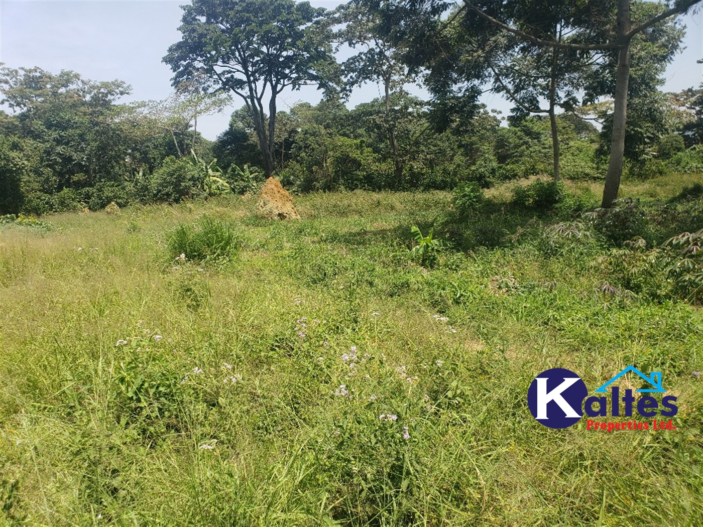 Agricultural Land for sale in Nakatyaba Buyikwe