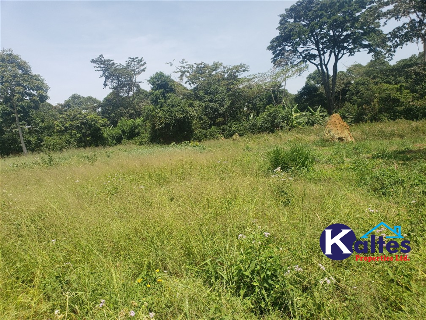 Agricultural Land for sale in Nakatyaba Buyikwe