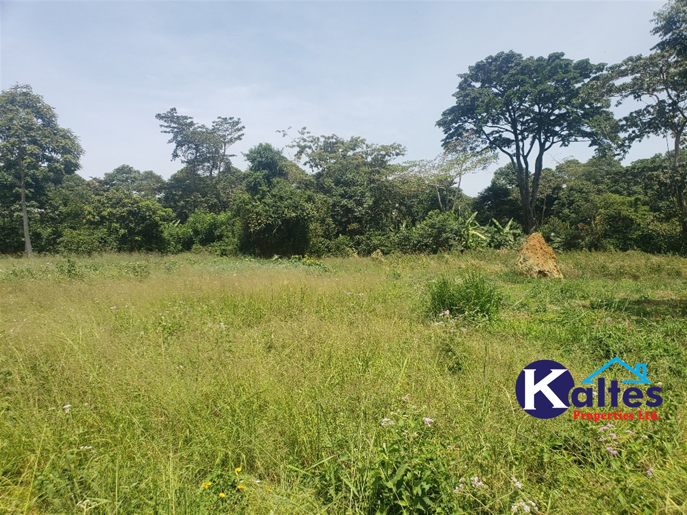 Agricultural Land for sale in Nakatyaba Buyikwe