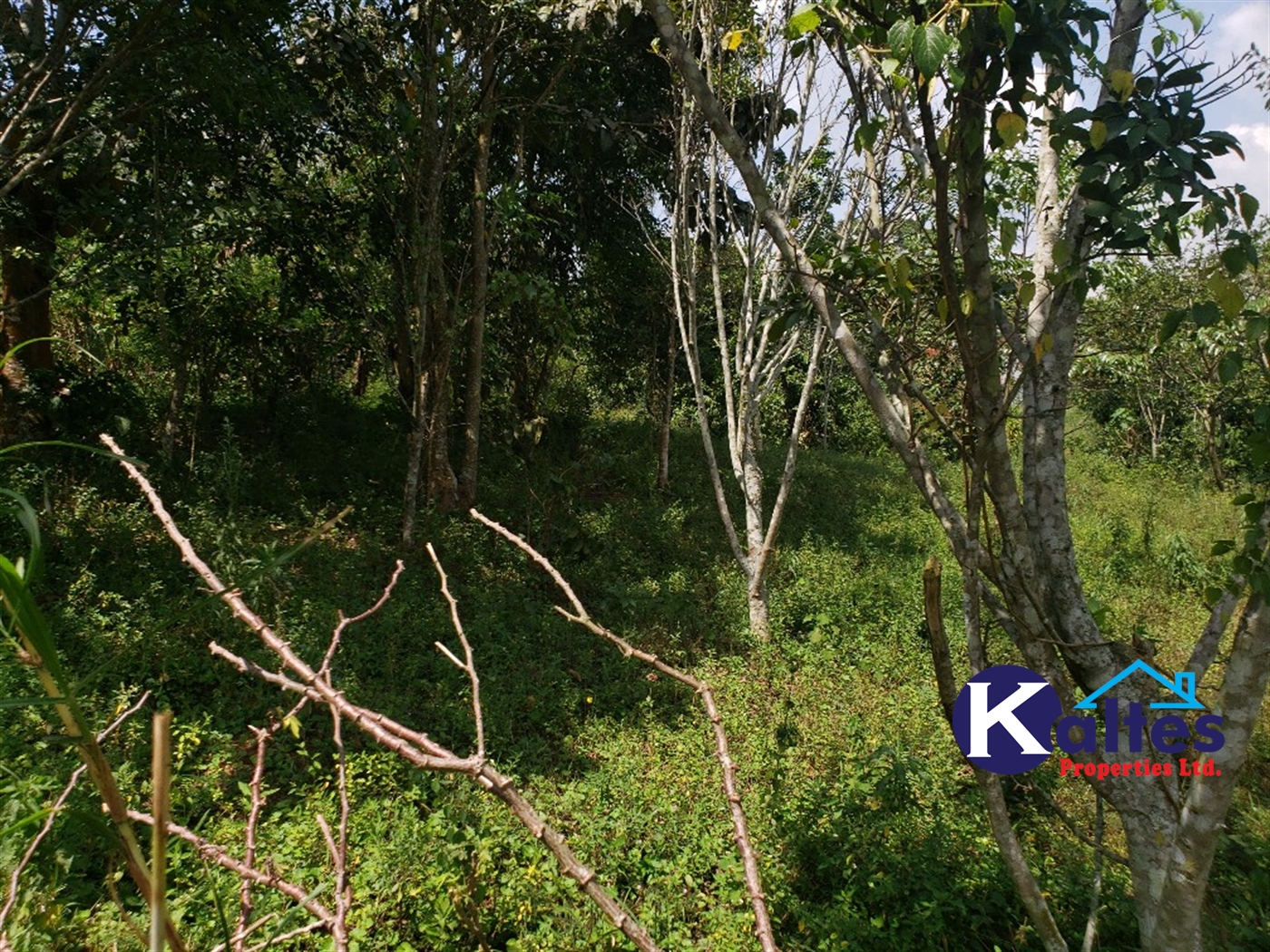 Agricultural Land for sale in Kalagala Buyikwe