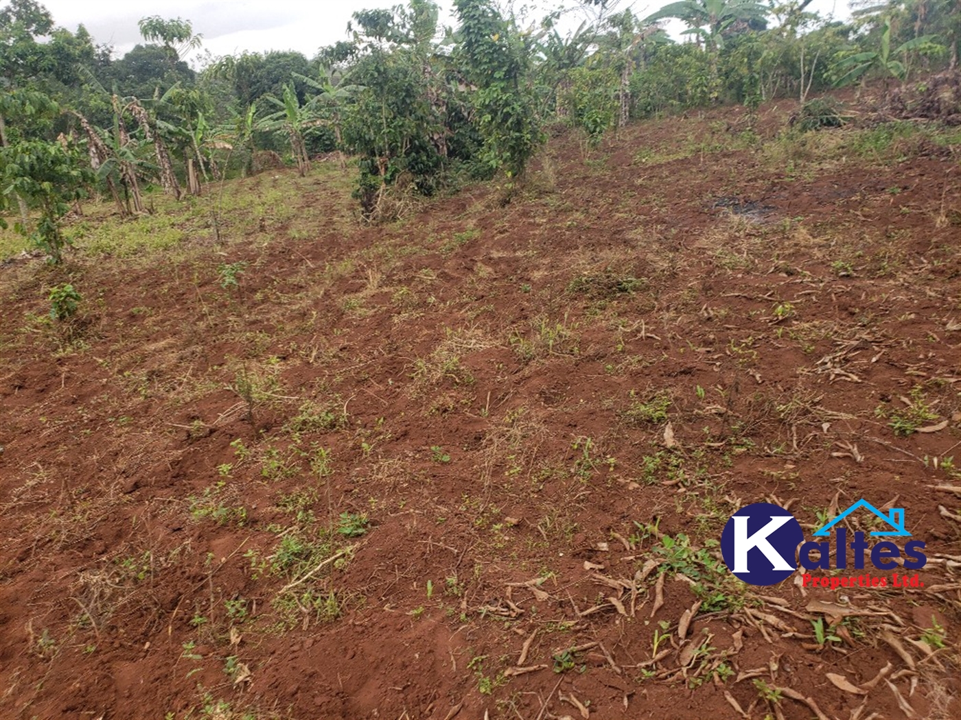 Agricultural Land for sale in Buwola Buyikwe