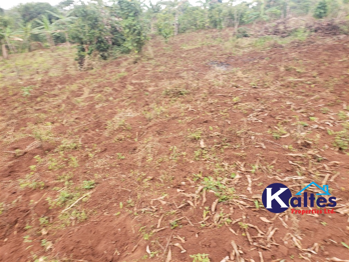 Agricultural Land for sale in Buwola Buyikwe