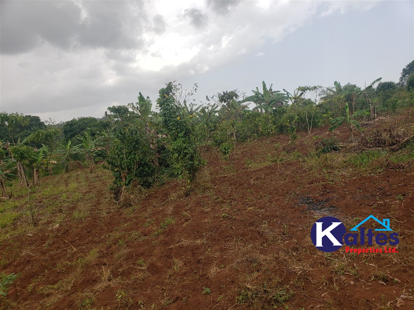 Agricultural Land for sale in Buwola Buyikwe