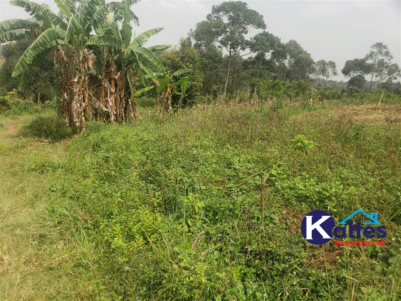 Agricultural Land for sale in Sugu Buyikwe